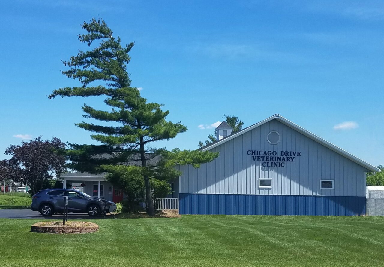 About Chicago Drive Veterinary Clinic Vet In Jenison, MI
